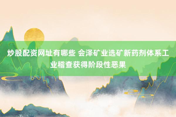 炒股配资网址有哪些 会泽矿业选矿新药剂体系工业稽查获得阶段性恶果