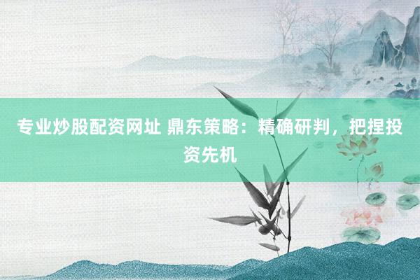 专业炒股配资网址 鼎东策略：精确研判，把捏投资先机