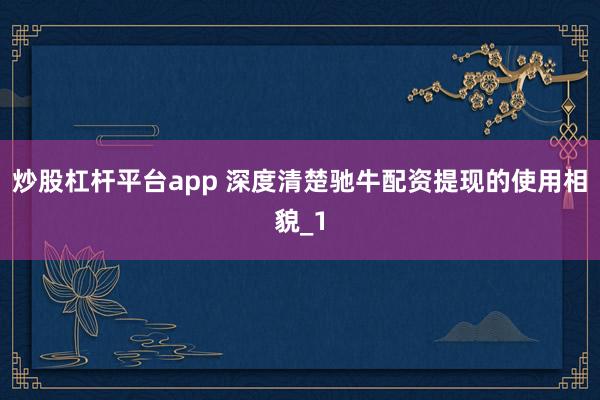 炒股杠杆平台app 深度清楚驰牛配资提现的使用相貌_1