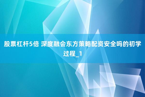 股票杠杆5倍 深度融会东方策略配资安全吗的初学过程_1