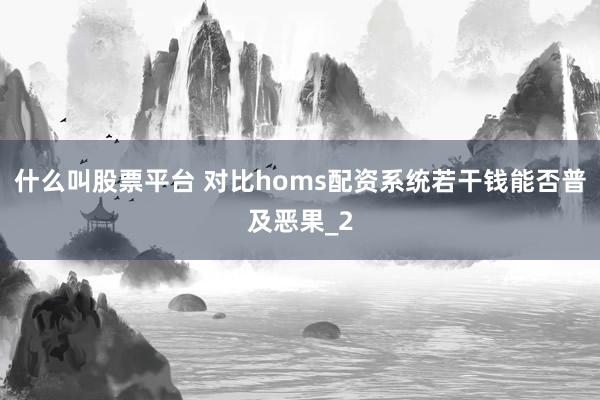 什么叫股票平台 对比homs配资系统若干钱能否普及恶果_2